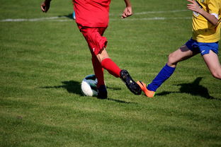 mk体育app下载-中小学篮球教研活动不断创新教学方法提升训练效果，篮球教研活动总结